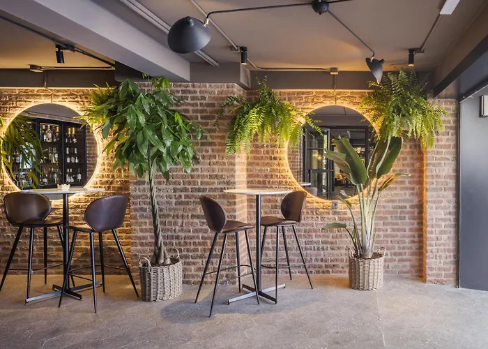 Rice Reyes Catolicos